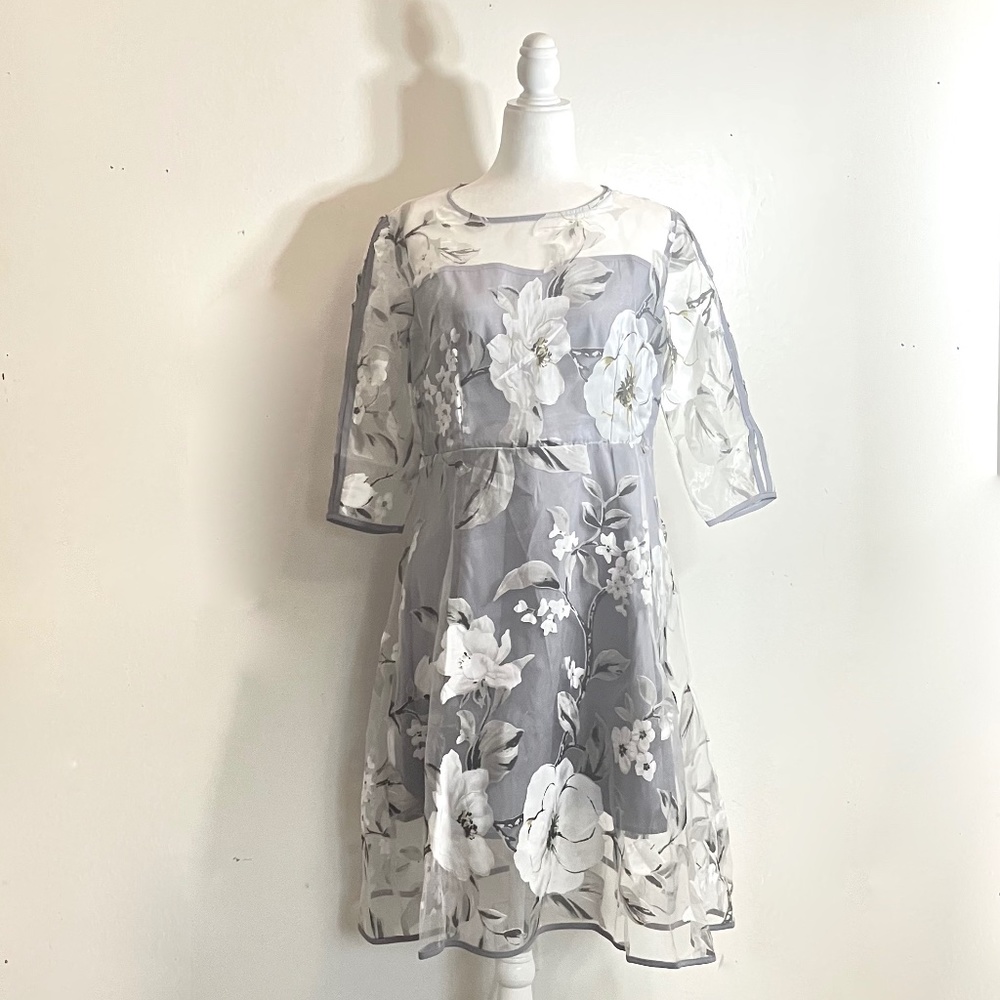 Sheer Formal Dress with Gray Short Skirt Lining, Edgy yet Classy, Size 10, NWOT
